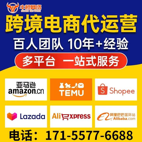 邯郸电商代运营