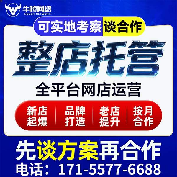 邯郸电商代运营