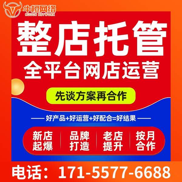 邯郸电商代运营