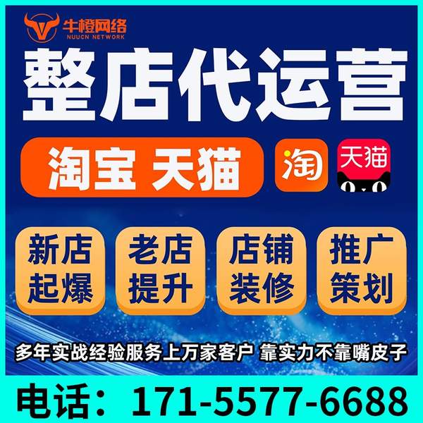 邯郸电商代运营