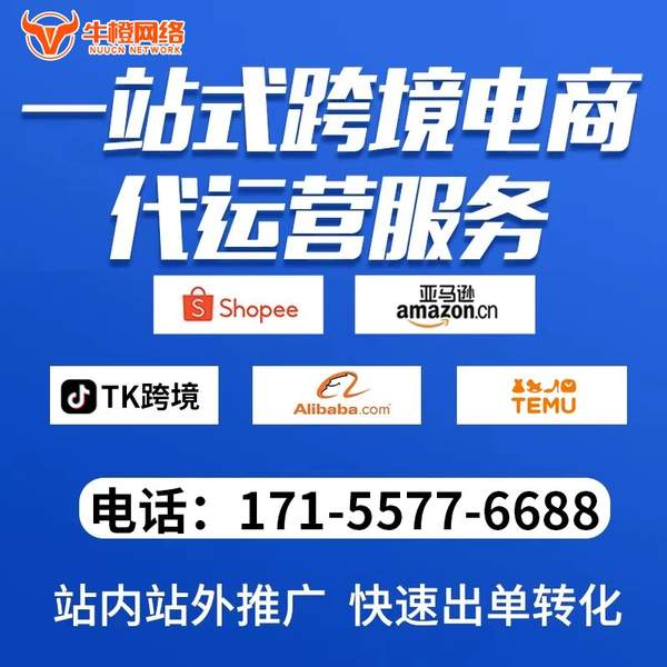 邯郸电商代运营