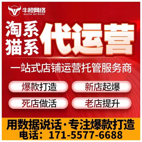 邯郸电商代运营